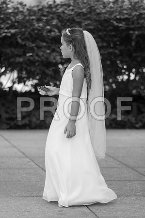 _D3C9574 copy