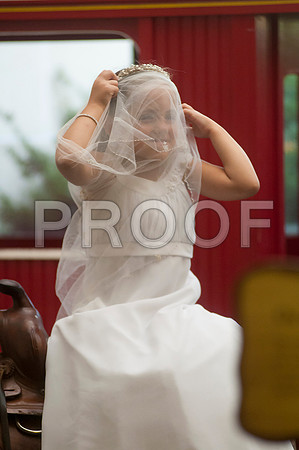 _D3C9590 copy