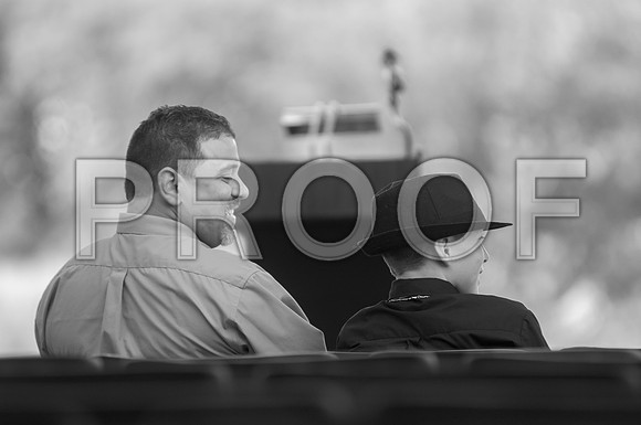 _D3C9599 copy