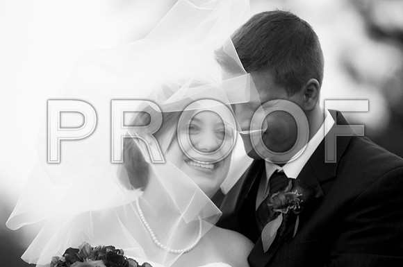 _D3C9802 copy