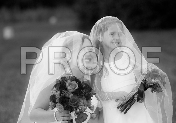 _D3C9806 copy