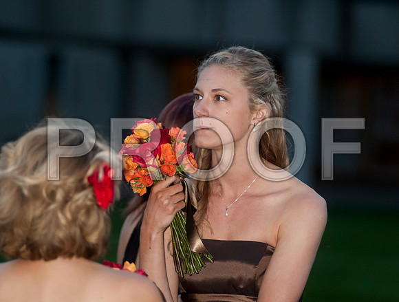 _D3C9837 copy
