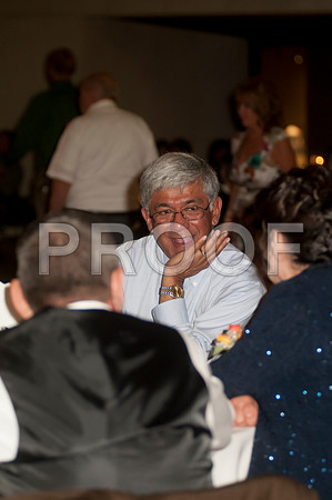 _D3C9876 copy