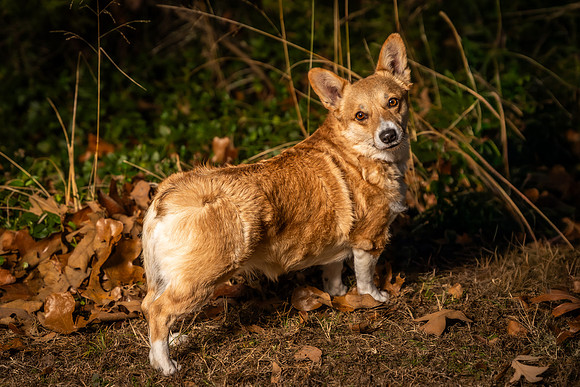 DSC01822