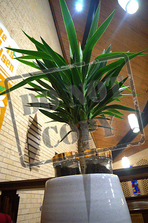 DSC08165 -1