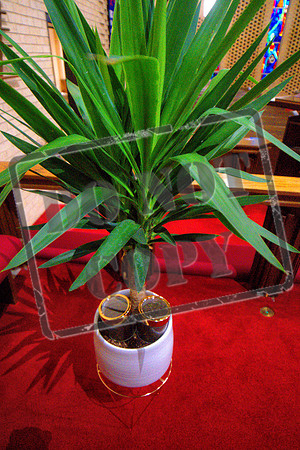DSC08166 -1