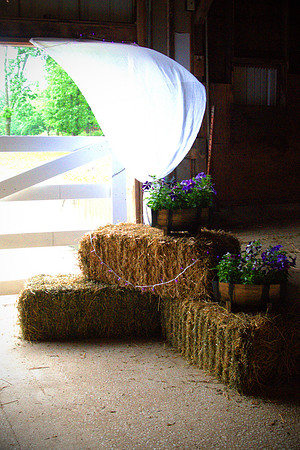 DSC00320 -1