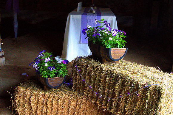 DSC00321 -1