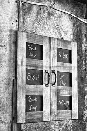 DSC00341 -1bw