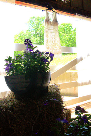 DSC00352 -1