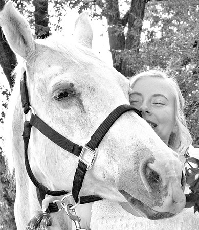 DSC00733 -1bwclose up
