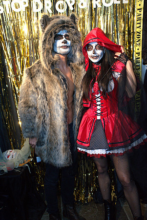 DSC04557 -1