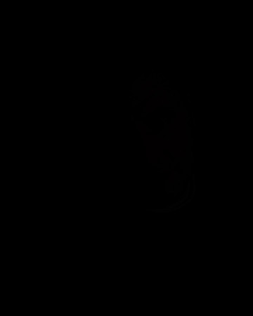 DSC06869