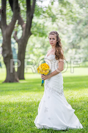 _DSC0062