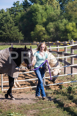 _DSC6282